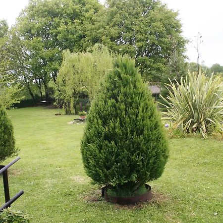 Rectoral De Goian Lantställe