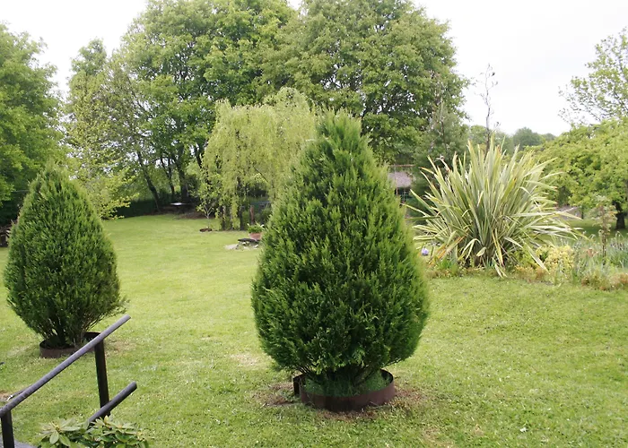 Rectoral De Goian Kır Evi